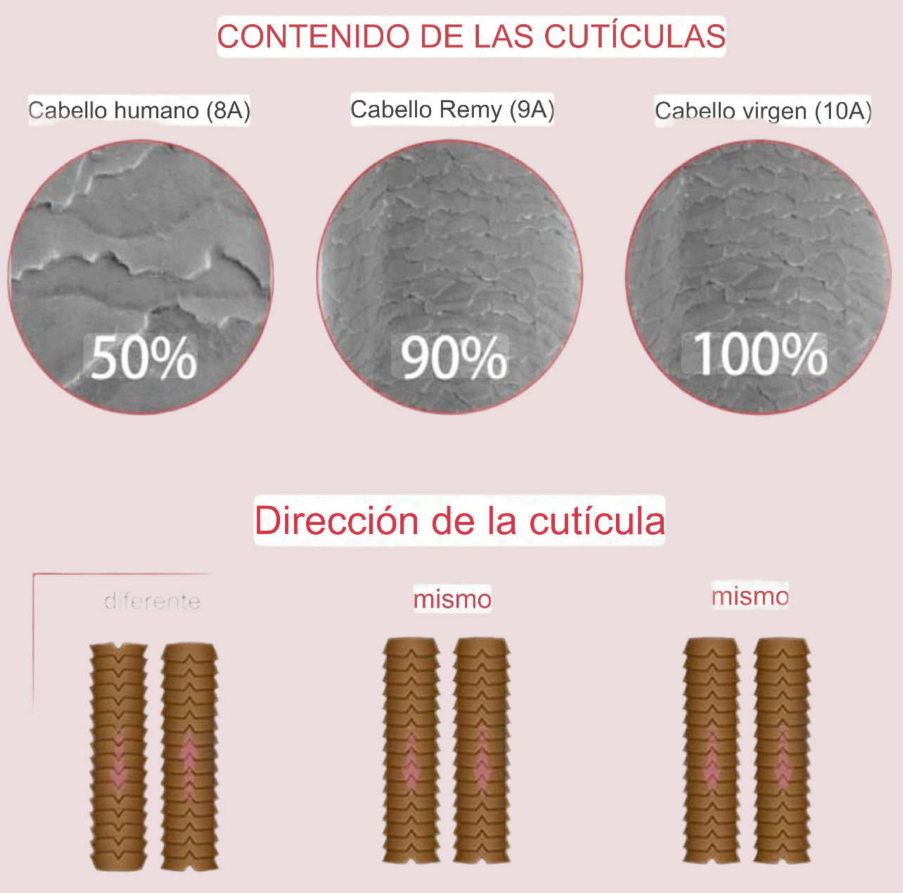 EXTENSION LUXURY ADHESIVAS/TAPE 50gr Pure Color Virgin Hair 100% Human Hair 10A Grade Hair Extensions